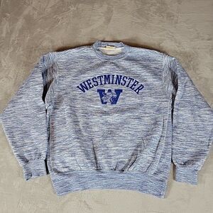 Westminster Christian Academy Sweatshirt Adult Medium Blue Stripe Retro MV Sport